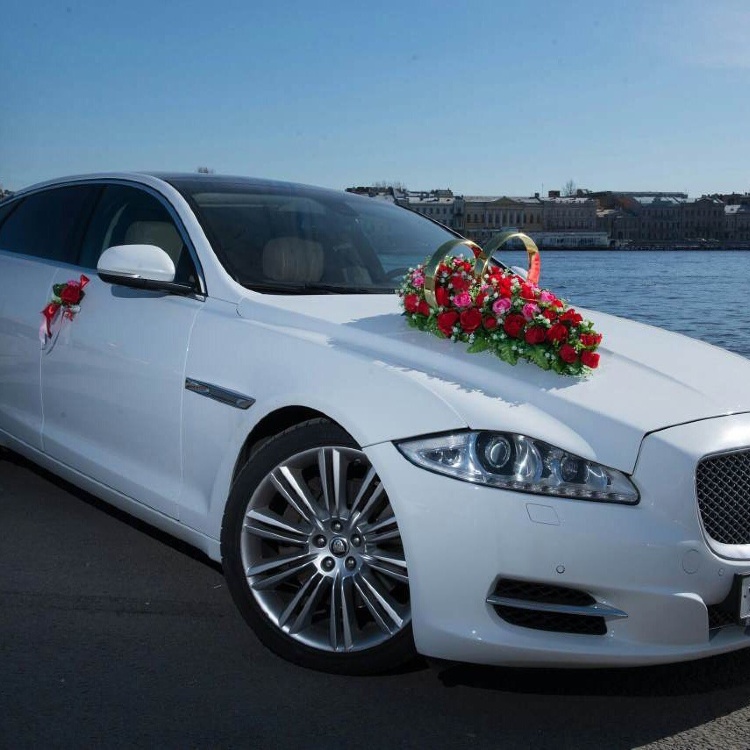 Jaguar-Car-With-Decoration