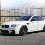 BMW 5 White Rental